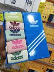 High Class Socks - Brand New - 2