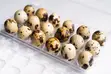Masaeli Farms Quail Eggs, Meat, Birds & Chicks - 1