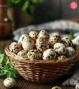Masaeli Farms Quail Eggs, Meat, Birds & Chicks - 2