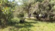 Industrial Plot for Sale - Mikocheni (1650 sqm) - 1