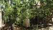 Industrial Plot for Sale - Mikocheni (1650 sqm) - 5
