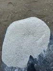 Tanga Limestone for Animal Feed - 1