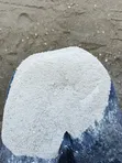 Tanga Limestone for Animal Feed - 2