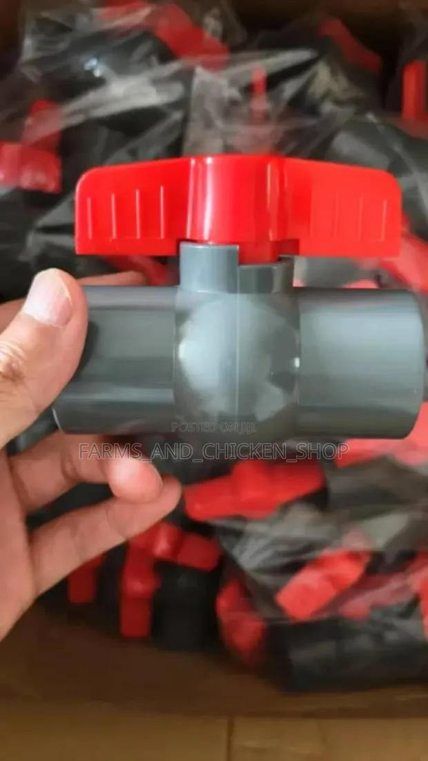 Cage Gate Valve - 1