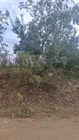 Kiwanja cha Madini ya Dhahabu (PML) - Hekta 9.94, Dodoma Bahi - 1