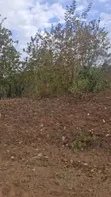 Kiwanja cha Madini ya Dhahabu (PML) - Hekta 9.94, Dodoma Bahi - 2