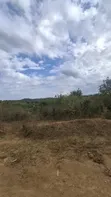 Kiwanja cha Madini ya Dhahabu (PML) - Hekta 9.94, Dodoma Bahi - 4