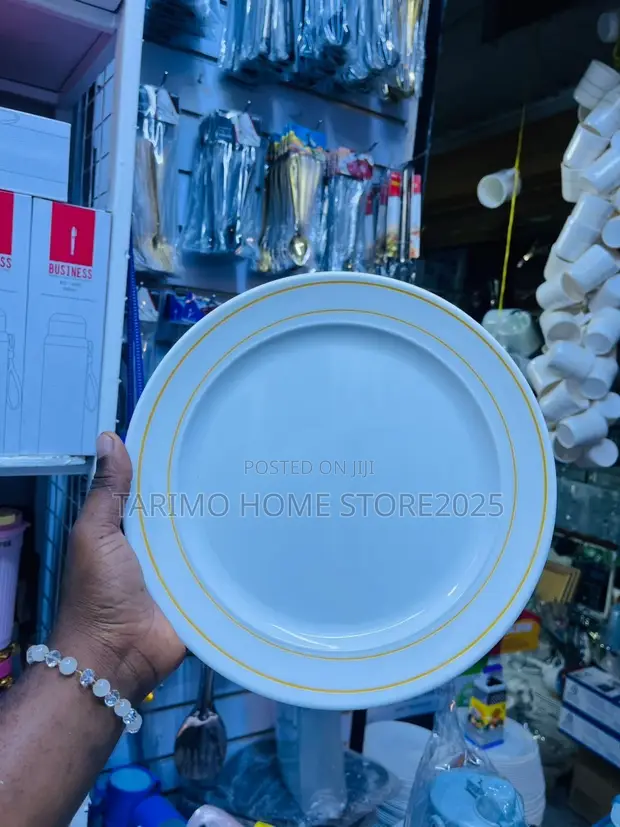 Melamine Bone China Dinner Plates - 12 Piece Set - 1