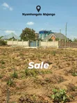 Residential Plot for Sale in Nyamhongolo, Ilemela - 5