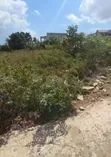 Residential Plot for Sale in Goba Majengo, Dar Es Salaam - 2
