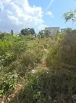 Residential Plot for Sale in Goba Majengo, Dar Es Salaam - 3