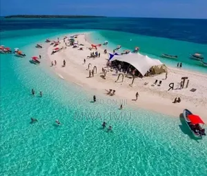 Safari Blue Full-Day Tour in Zanzibar