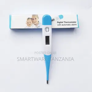 Digital Thermometer with Alarm, 0.1°C Accuracy