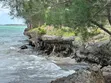 Beachfront Plot for Sale in Uroa, Zanzibar - 3