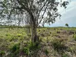 Beachfront Plot for Sale in Uroa, Zanzibar - 4