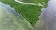 Beachfront Land for Sale in Charawe, Zanzibar - 3