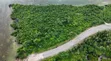 Beachfront Land for Sale in Charawe, Zanzibar - 4