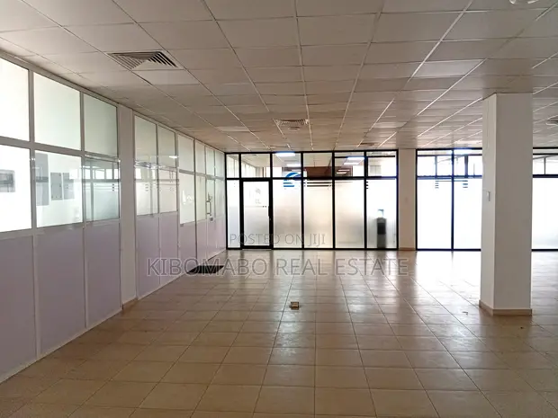 Office Space for Rent - 167-450 SQM, Ilala CBD - 1