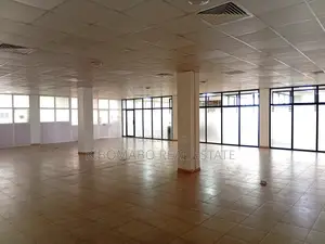 Office Space for Rent - 167-450 SQM, Ilala CBD