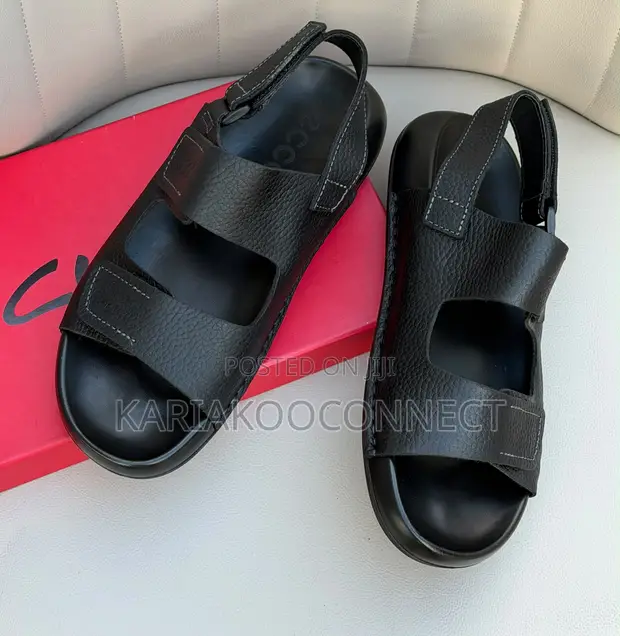 Men's Ecco Sandals - 1