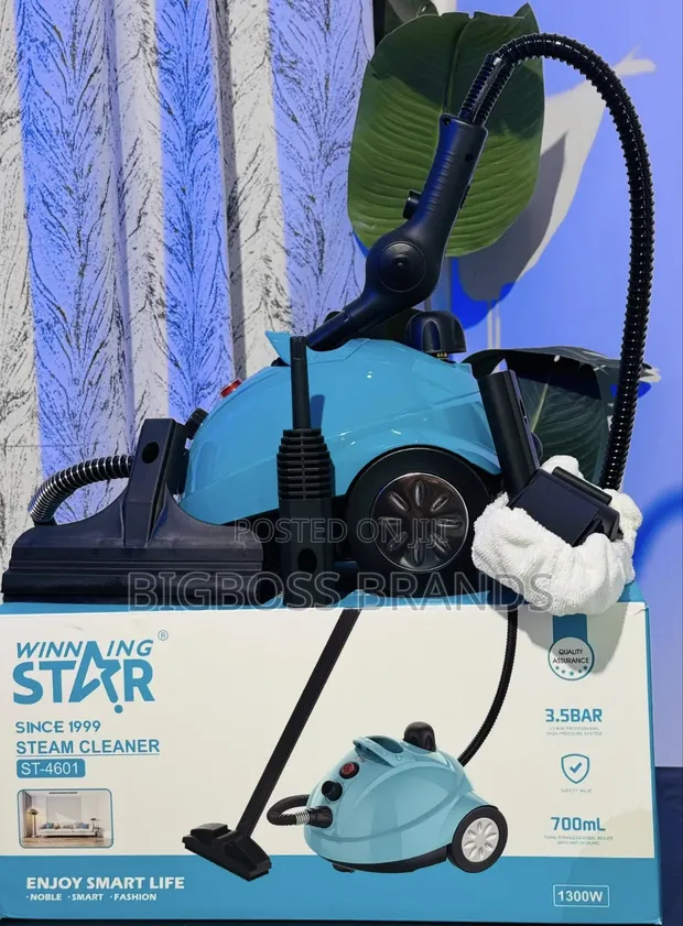 Winning Star Steam Cleaner 1300W 700ml - 1
