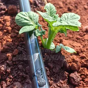 16mm Drip Irrigation System