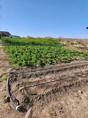 Drip Garden Watering System
