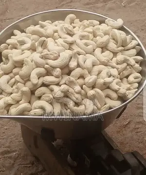 High-Quality Cashew Nuts