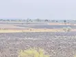 Shamba la Kilimo Linauzwa Magu - 1