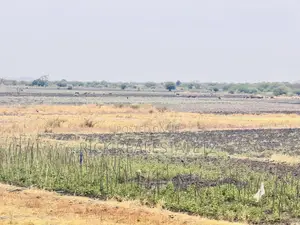 Farmland for Sale in Magu