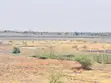 Shamba la Kilimo Linauzwa Magu - 4