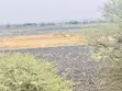 Shamba la Kilimo Linauzwa Magu - 5