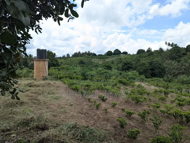 Shamba/Kiwanja Kinauzwa - Msanga Sokoni, Kisarawe - 1