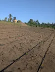Shamba/Kiwanja Kinauzwa - Msanga Sokoni, Kisarawe - 3
