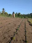 Shamba/Kiwanja Kinauzwa - Msanga Sokoni, Kisarawe - 4