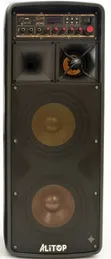 Spika ya Alitop Professional SP 8801 (6000W) - 2