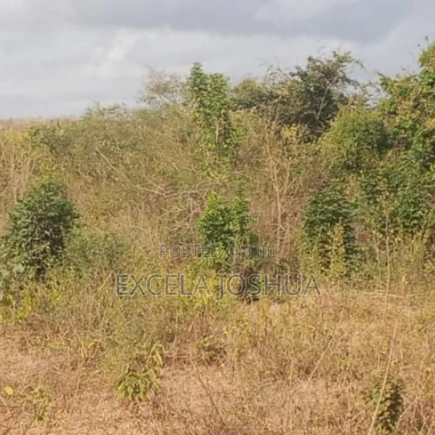 Farm Land for Sale, Mbwewe, Chalinze - 1