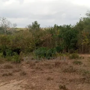 Farm Land for Sale, Mbwewe, Chalinze