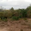 Farm Land for Sale, Mbwewe, Chalinze - 4