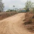 Farm Land for Sale, Mbwewe, Chalinze - 5