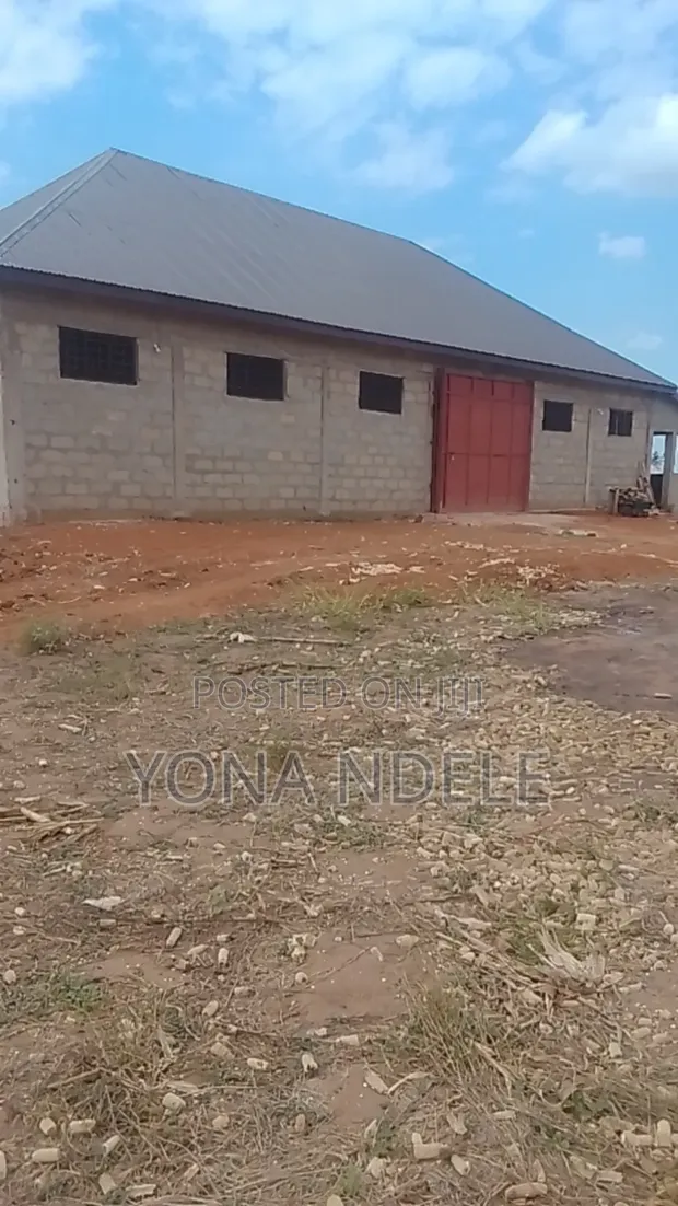 203 Hectares Farm for Sale, Mkange - 1