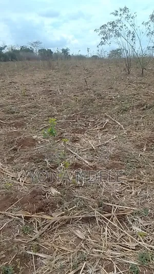 203 Hectares Farm for Sale, Mkange