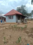 203 Hectares Farm for Sale, Mkange - 4