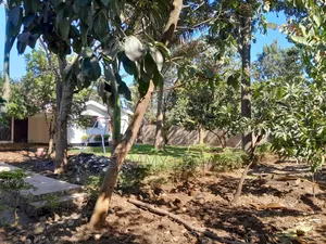 6 Bedroom Bungalow for Rent in Sammysaidy, Njiro