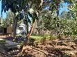 6 Bedroom Bungalow for Rent in Sammysaidy, Njiro - 2