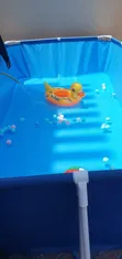 Brand New Bestway Swimming Pool 4x5x2.01m - 1