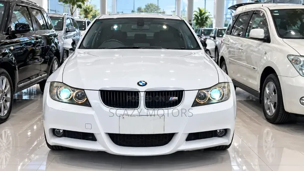 BMW 320i 2008 White - 1