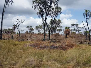 Flat Land for Sale - Kiromo