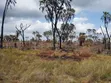 Flat Land for Sale - Kiromo - 3