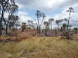 Flat Land for Sale - Kiromo - 5
